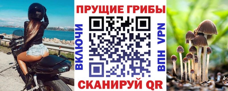 Псилоцибиновые грибы мицелий  Старая Купавна 